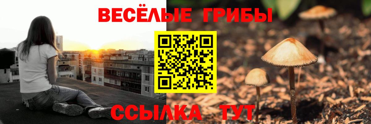 Псилоцибиновые грибы GOLDEN TEACHER  Вход с VPN  наркотики  Еманжелинск 